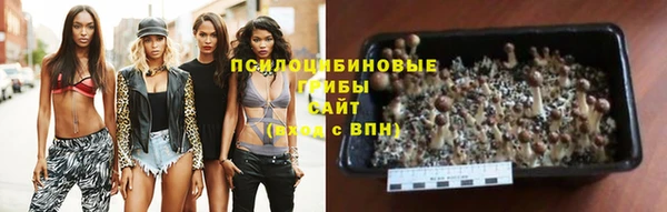 гидра Аркадак