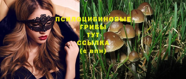гидропоника Балабаново