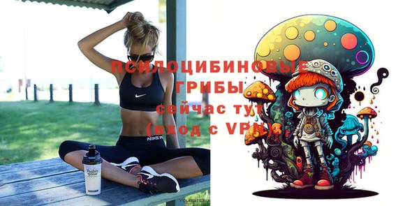 гидра Аркадак