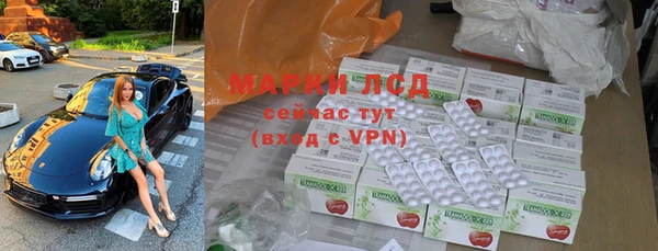 гидра Аркадак