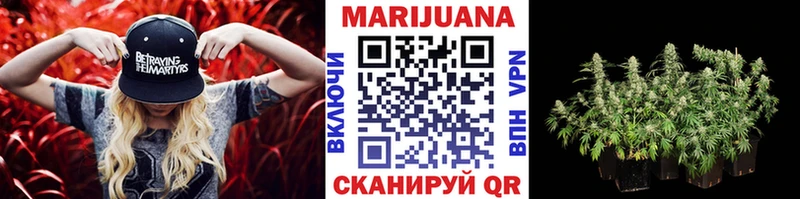 Конопля сатива Боровск